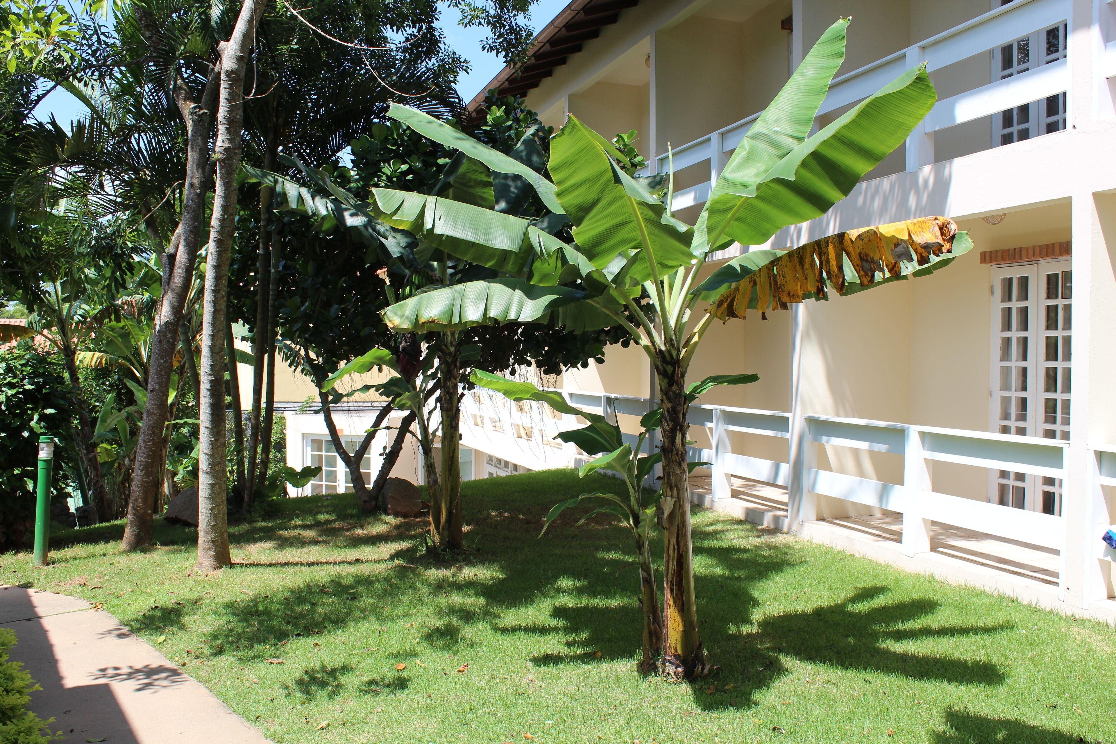 Hotel Sao Sebastiao Da Praia — Photos 3